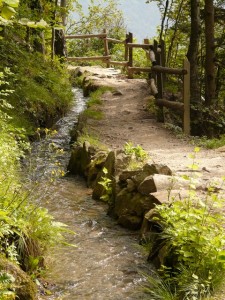 Foto: Wanderweg von Bach begleitet Reflexion , HSK: Arbeit, Angst, Sinn, Coaching, Supervision, Mediation, HSK, Meschede, Hochsauerland, Hochsauerlandkreis, Sauerland, Südwestfalen, Westfalen, Coaching Ansberg, Coaching Bestwig, Coaching Brilon, Coaching Eslohe, Coaching Hallenberg, Coaching Marsberg, Coaching Medebach, Coaching Meschede, Coaching Olsberg, Coaching Schmallenberg, Coaching Sundern, Coaching Winterberg, Supervision Ansberg, Supervision Bestwig, Supervision Brilon, Supervision Eslohe, Supervision Hallenberg, Supervision Marsberg, Supervision Medebach, Supervision Meschede, Supervision Olsberg, Supervision Schmallenberg, Supervision Sundern, Supervision Winterberg