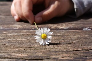Kita, Kibiz, Kindertagesstätte, Kindergarten, Soziale Arbeit, Familienzentrum, Jugendamt, SGB VIII, Kinder- und Jugendhilfe, Kompetenz, Bildung, frühkindliche Entwicklung, Coaching Geschäftsführer, Coaching Führungskräfte Arbeit, Beratung, Sinn, Gesundheit, Männer, Gender, Coaching, Supervision, Mediation, HSK, Meschede, Hochsauerland, Hochsauerlandkreis, Sauerland, Südwestfalen, Westfalen, NRW, Coaching Meschede, Coaching Hochsauerland, Coaching Hochsauerlandkreis, Coaching Sauerland, Coaching Südwestfalen, Coaching Westfalen, Coaching NRW, Coaching Arnsberg, Coaching Bestwig, Coaching Brilon, Coaching Eslohe, Coaching Hallenberg, Coaching Marsberg, Coaching Medebach, Coaching Meschede, Coaching Olsberg, Coaching Schmallenberg, Coaching Sundern, Coaching Winterberg, Supervision Arnsberg, Supervision Bestwig, Supervision Brilon, Supervision Eslohe, Supervision Hallenberg, Supervision Marsberg, Supervision Medebach, Supervision Meschede, Supervision Olsberg, Supervision Schmallenberg, Supervision Sundern, Supervision Winterberg, Mediation Arnsberg, Mediation Bestwig, Mediation Brilon, Mediation Eslohe, Mediation Hallenberg, Mediation Marsberg, Mediation Medebach, Mediation Meschede, Mediation Olsberg, Mediation Mediation, Mediation Sundern, Mediation Winterberg, Mediation Hochsauerlandkreis, Mediation Meschede, Mediation HSK, Mediation Hochsauerland, Mediation Südwestfalen, Mediation Westfalen, Mediation NRW, Supervision Lippstadt, Supervision Erwitte, Supervision Soest, Supervision Werl, Supervision Möhnesee, Supervision Wickede, Supervision Ense, Supervision Anröchte, Supervision Bad Sassendorf, Supervision Warstein, Supervision Geseke, Supervision Rüthen, Supervision Welver, 